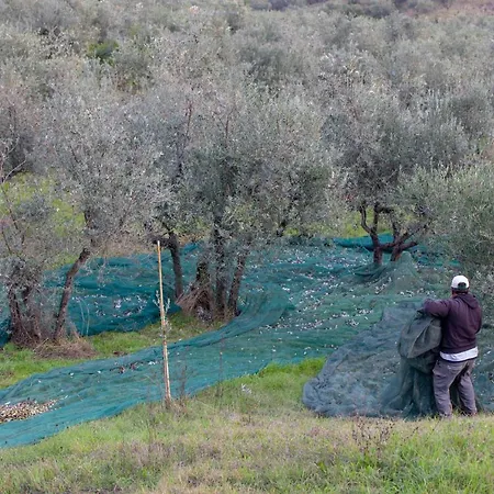 Farmház Podere Midolla Carmignano