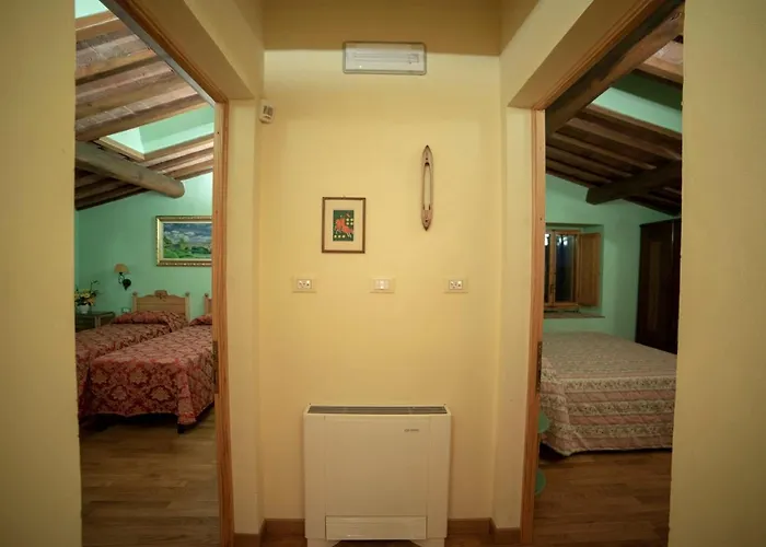 Podere Midolla Carmignano