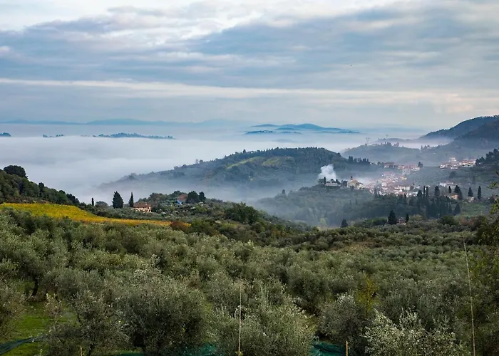 Podere Midolla 팜스테이 *